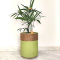 Jute - Green