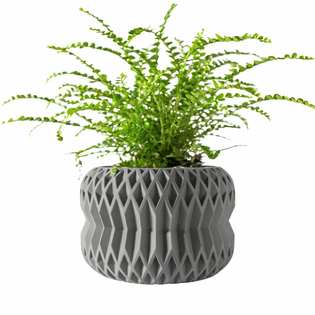 Biodegradable 3D Printed Plant Pot for Home Decor