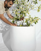 Core - Cream - Fiberglass Planter
