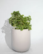 Core - Cream - Fiberglass Planter