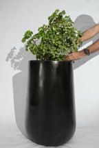 Rise - White - Fiberglass Planter