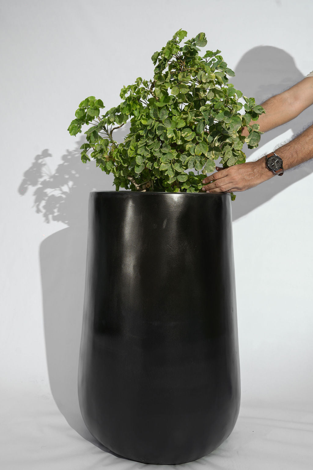 Rise - White - Fiberglass Planter