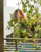 Saahil - ساحل - Handmade Pendant Light²