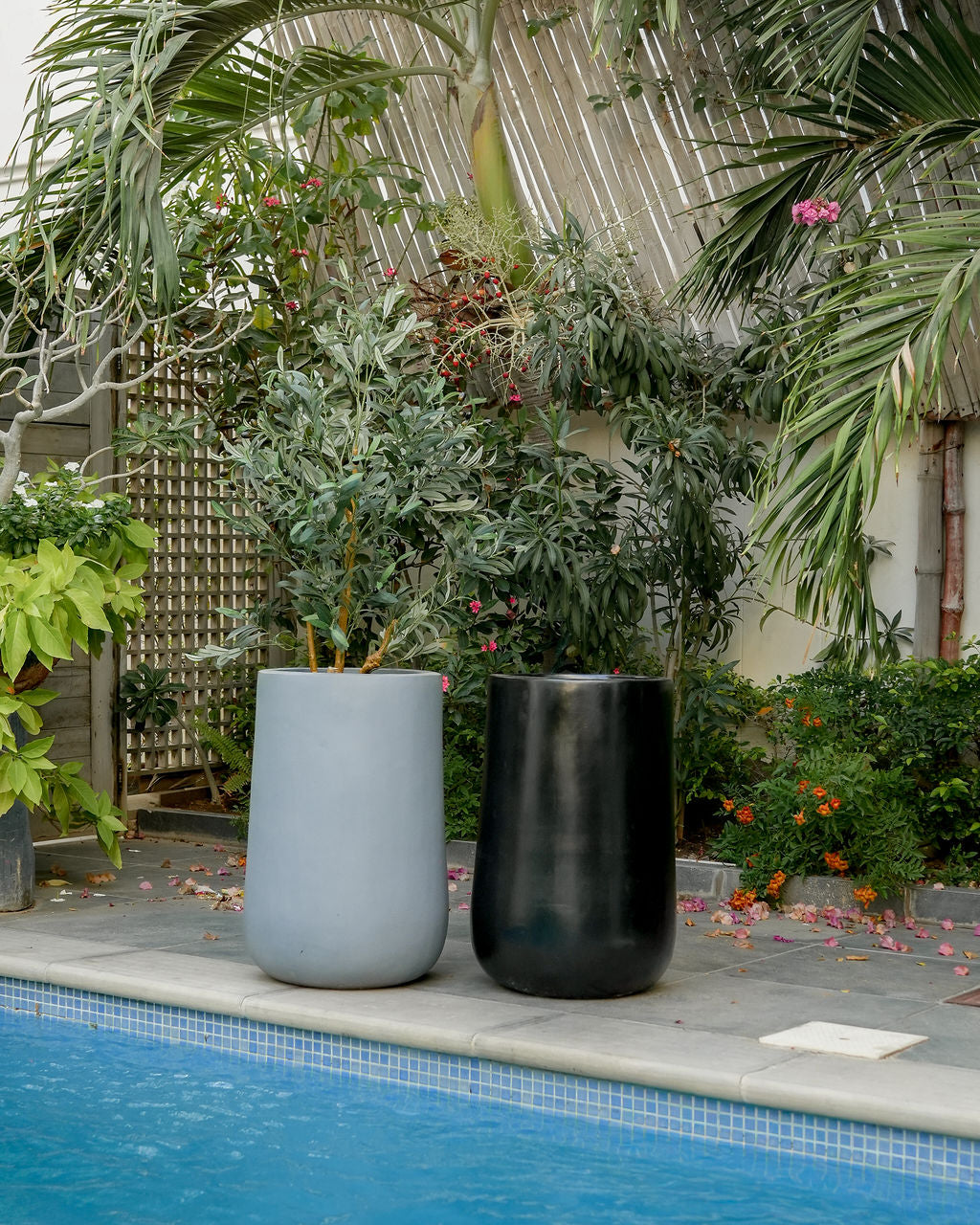 Rise - White - Fiberglass Planter