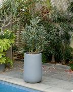 Rise - White - Fiberglass Planter