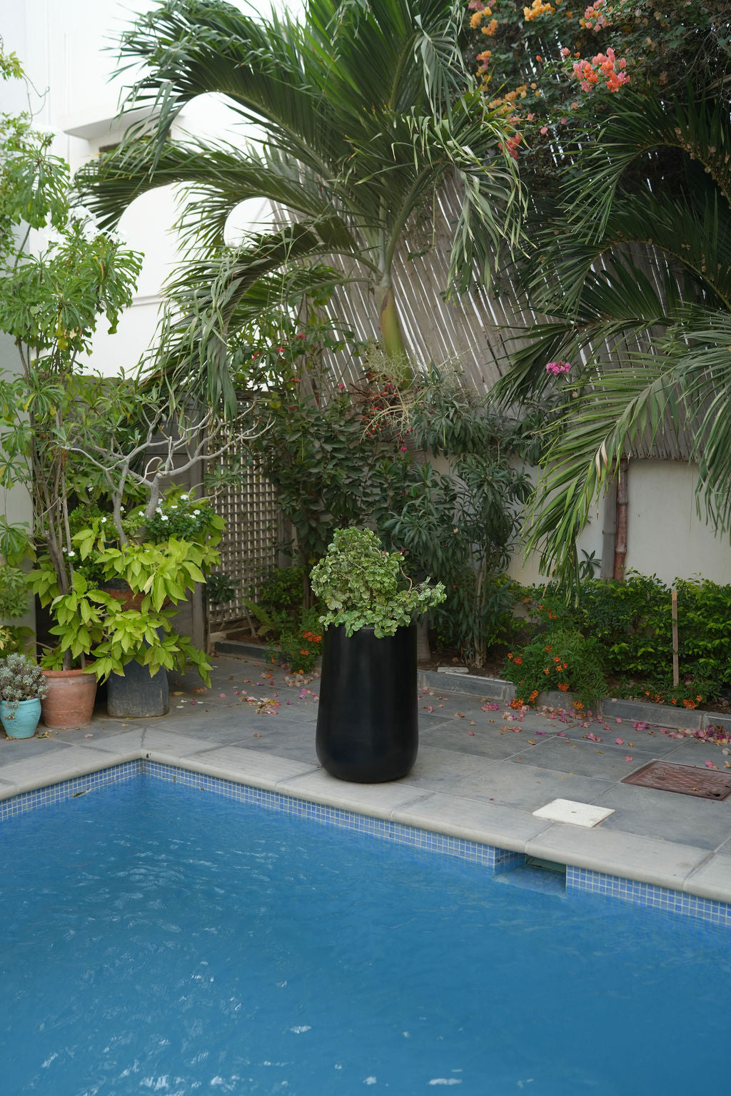 Rise - White - Fiberglass Planter