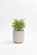 Core - Cream - Fiberglass Planter