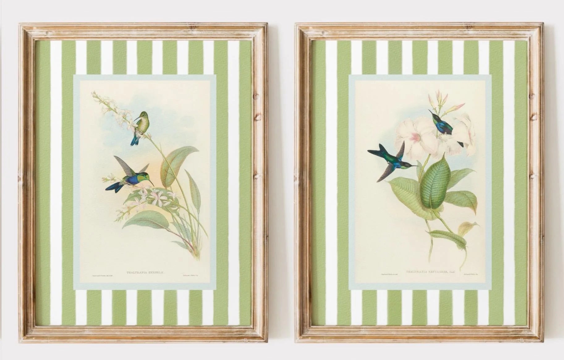 Retro Hummingbird Canvas Prints for Home Decor