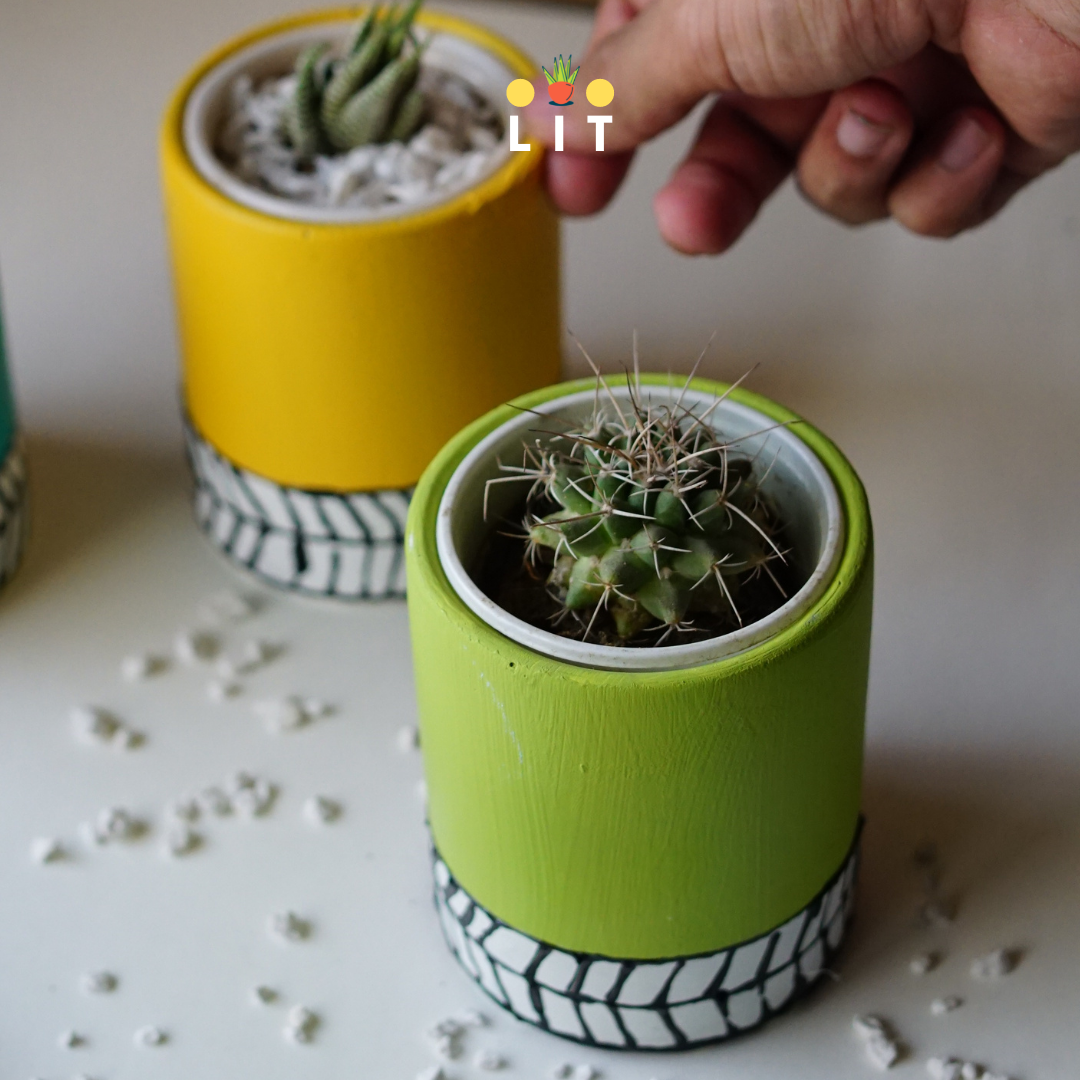 Decor - Frooty - Set
