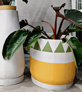 Meadow Mix - Concrete Planter