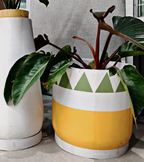 Meadow Mix - Concrete Planter